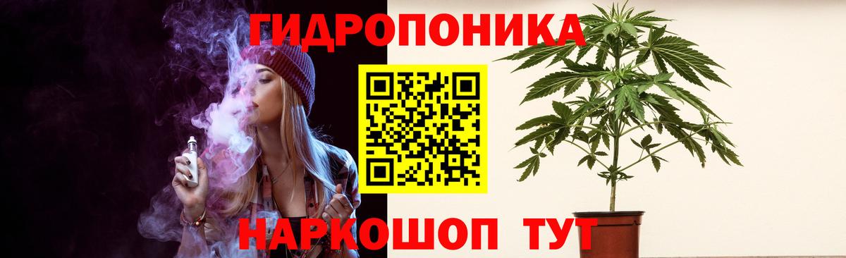 Каннабис ГИДРОПОН  Шишки марихуана Bruce Banner  Каннабис план  Вход с VPN  Норильск 